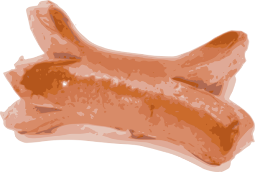 oca_cervela.png