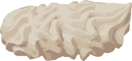 oca_meringue.png